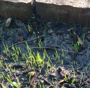 Building solid roots of retention