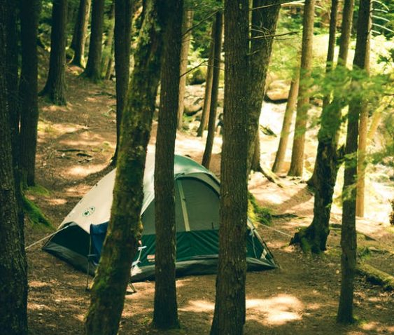 Screen Shot 2017-05-13 at 8.36.30 AM.png