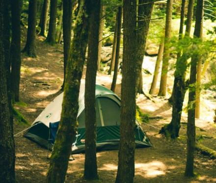 Screen Shot 2017-05-13 at 8.36.30 AM.png