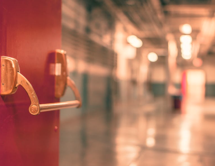 Screen Shot 2017-08-08 at 7.29.16 PM.png